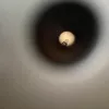 Diopter sigti